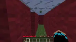 Прохождение карты лабиринт вместе с ZOOM в minecraft 1.5.2
