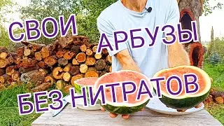 АРБУЗЫ - без Химии.ОВП Арбуза.
