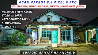 Gcam 8.4 Parrot Pixel 6 Pro Libpacher Set, Video 4k, Hasil Jernih, Tajam, Detail, Minim Noise