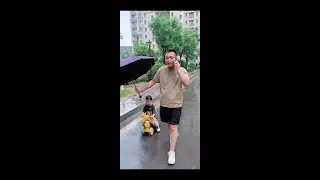 Funny Cute Baby playing in rain water ☔☂️🌂🥰💞