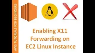 AWS Cloud | EC2 Web Service | Enabling X11 forwarding and running X-Applications on LINUX