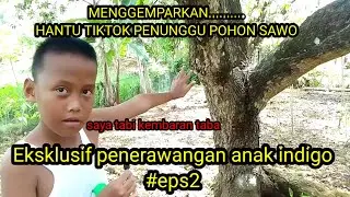 Seram!!Hantu tiktok penunggu pohon sawo(puyeng puyeng dah dengerinnya)eksklusif #eps2