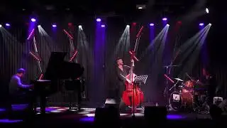 הטריו של גלעד אברו במחווה לצ'ארלס מינגוס - Summertime TLV Jazz Fest