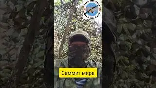 Саммит мира | Зеленский. #саммитмира #зеленский #новоевидео #военные #война #сво #вдв