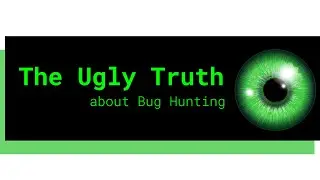 The Ugly Truth about Bug Bounty Hunting