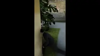 Регистрируйся на Gambit RP и получи 50к 🤑💸💵