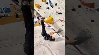 A Bat-Hang Start 