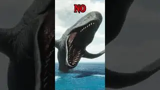 ARK NO 8  