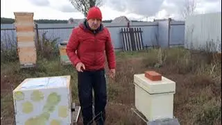Сравнение температуры над рамками в улье ППС и деревянном улье
