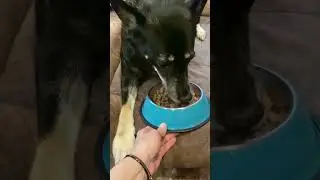 Погуляли,покормили,полечили…Или наоборот? 🙈Да какая разница,главное все более-менее здоровы🥰