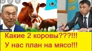 Чиновники Костанайской области вместо поддержки, уничтожают местных сельхозпроизводителей!!!