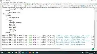 EP-11 Spring Boot JPA DynamicUpdate
