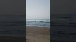 Утро морджима