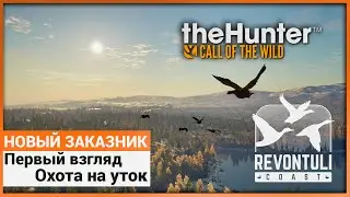 Новый заказник - Revontuli Coast в theHunter: Call of the Wild - Первый взгляд