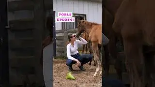 Rescued Foals Update! 🤗