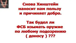 Так будет ли ФСБ изымать оружие по любому подозрению ???  Новые потуги Хинштейна