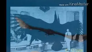 Птица гром
