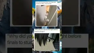 Relatable funny memes😼#funnymemes #shorts
