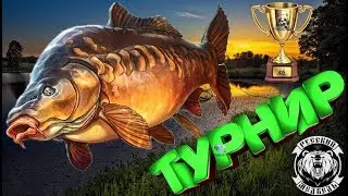 Золото и Премиум Турнир !!Russian Fishing 4 ! РР4