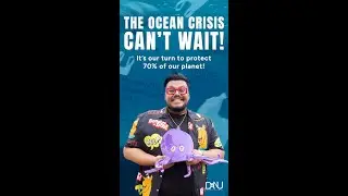 Our Oceans are in crisis, and it’s time to act!