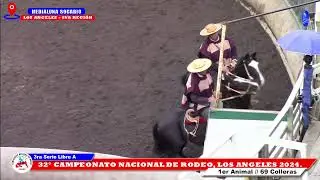 3RA SERIE LIBRE A, 32° CAMPEONATO NACIONAL DE RODEO EN MEDIALUNA SOCABIO, LOS ANGELES 2024.