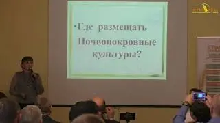 Крым. Покровные культуры при No-till