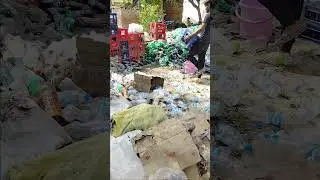 pulpy audit report