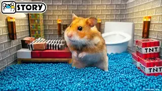 Hamster prisoner flushed down the toilet and escaped from prison Minecraft 😲 Homura Ham Pets