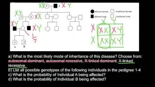 How to analyze and solve pedigree problems
