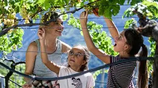 Un verano en el Tirol [2.021] HDTVRip (Español Castellano)