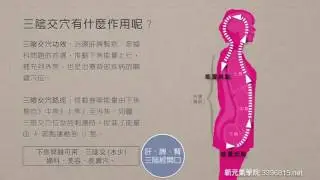 8  - 1 三陰交穴