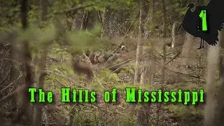 Episode 1: Mississippi Long Beards | Spring Turkey Hunting 2024 | Gobbling Turkeys