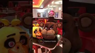 Freddy Sassbear ​⁠