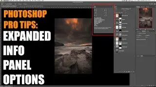 Photoshop Pro Tips: Expanded Image Info Panel Customization.
