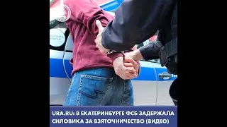 В Екатеринбурге ФСБ задержала силовика за взяточничество