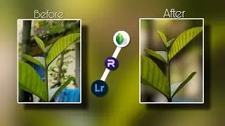 blur background photo editing tutorial | mobile photography editing on Photoroom