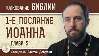 1-е Послание Иоанна. Глава 5 Грех к смерти и грех не к смерти  Священник Стефан Домусчи