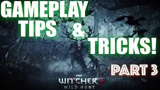 The Witcher 3 Wild Hunt tips and tricks! - PART 3