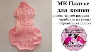47. МК Платье кошке 2 часть