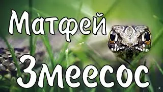 22 августа Народный Праздник День Матфея Змеесоса/Что можно и нельзя делать/Народные традиции