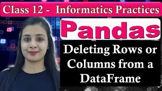 Pandas DataFrame - Deleting Rows or Columns from a DataFrame | CBSE Class 12 - IP