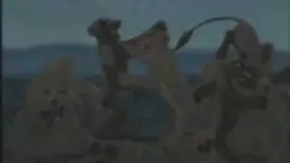 Lion of the Caribbean- Curse of the Black Pearl