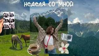 дневник южанки: показываю Сочи и делаю то, что люблю 🐚🌴🌊