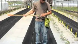 Staple Setter™ — Drives staples into landscape fabric fast & easy