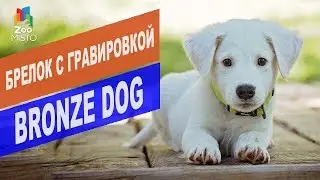 Брелок с гравировкой Bronze Dog | Обзор брелка с гравировкой Bronze Dog