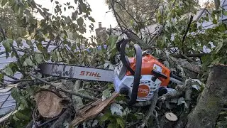 My new Stihl MS162 Chainsaw Saw