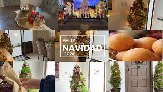 NAVIDAD 2024 | Decorando mi Pino de Limón de Navidad
