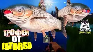 Русская рыбалка 4. 🎣 оз. Медвежье 🐳🐳💦 ТРОФЕИ от LATORSO 👀