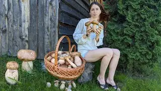 Picking forest mushrooms in the wild mountains. Cooking three mushroom dishes in village oven