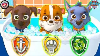 PAW Patrol: A Day in Adventure Bay - Zuma & Rubble & Rocky - Versus - FHD